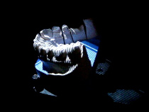 Mit Klick zum Grossbild / Scanner Streifenlicht Scan Dental